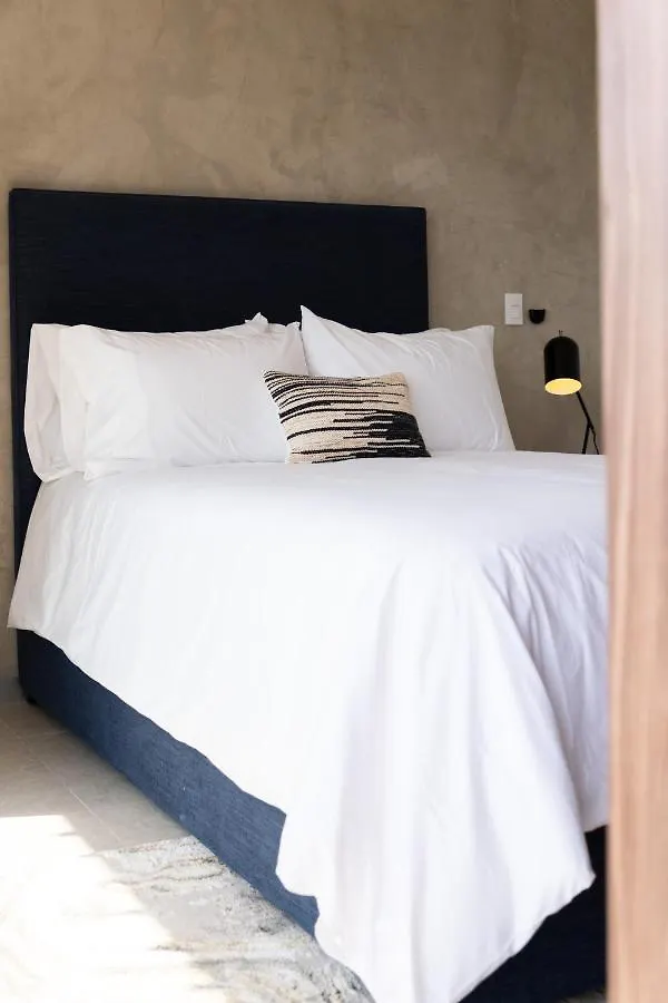 Fancy 3 Bedroom Apartments In Downtown Playa Rooftop Pool Gym Playa del Carmen Mexico